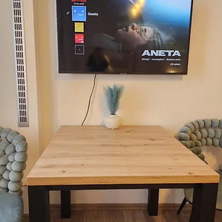 Apartament Moderni V Centru U Divadla - Wi-fi Zdarma #homevibes53